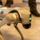 advanced-robotic-dog-in-indoor-setting-stockpack-pexels.jpg Advanced robotic dog in indoor setting