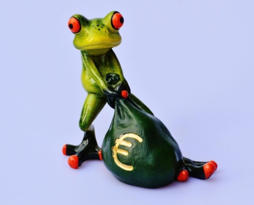 frog-money-euro-bag-moneybag-fun-cute-figure-rich-days-wealthy-reserves-money-calms-down-stockpack-pixabay.jpg frog, money, euro, bag, moneybag, fun, cute, figure, rich, days wealthy, reserves, money calms down