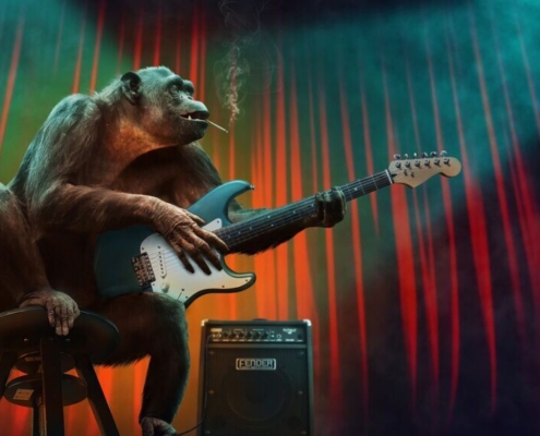 monkey, music, concert, guitar, stage, amplifier, nature, electric guitar, animal, mammal, primate, chimpanzee