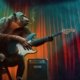 monkey, music, concert, guitar, stage, amplifier, nature, electric guitar, animal, mammal, primate, chimpanzee
