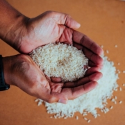 rice-paddy-eat-food-field-harvest-brown-rice-stockpack-pixabay.jpg rice, paddy, eat, food, field, harvest, brown rice, rice, rice, brown rice, brown rice, brown rice, brown rice, brown rice