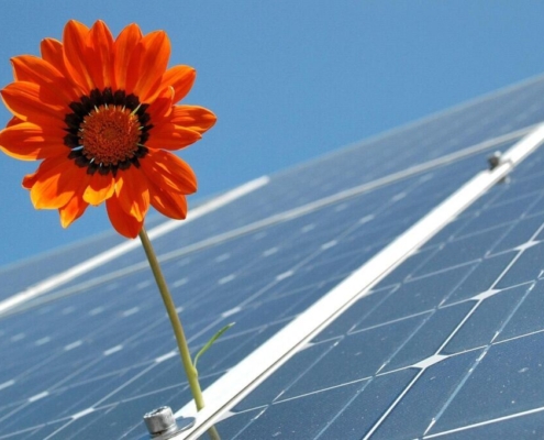 solar, photovoltaic, renewable, solar energy, solar cells, power generation, renewable energy, solar photovoltaic, energy generation, environmentally friendly, electricity, solar system, eco energy, photovoltaic, photovoltaic, photovoltaic, photovoltaic, photovoltaic, solar energy, solar energy, solar energy, renewable energy, renewable energy