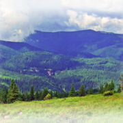 stanadevale