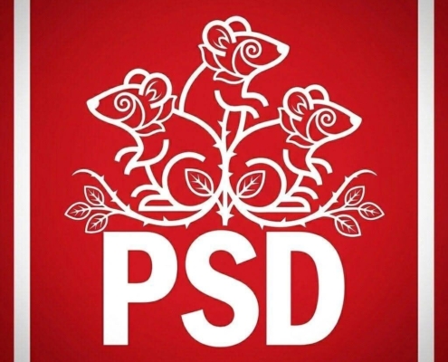 PSD șobolani