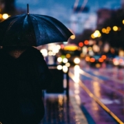 adult-blur-bokeh-city-evening-light-man-outdoors-person-rain-reflection-road-street-umbrella-wet-raining-stockpack-pixabay.jpg adult, blur, bokeh, city, evening, light, man, outdoors, nature, person, rain, reflection, road, street, umbrella, wet, raining