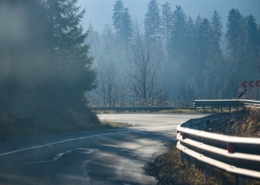 autumn forest, pine tree, nature, forest, autumn, landscape, road, transylvania, romania