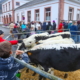 les-vaches-inscrites-et-les-parents-d-eleves-mobilises-pour-eviter-une-fermeture-de-classe-devant-l-ecole-maternelle-a-moosch-photo-jean-francois-frey-1774981298