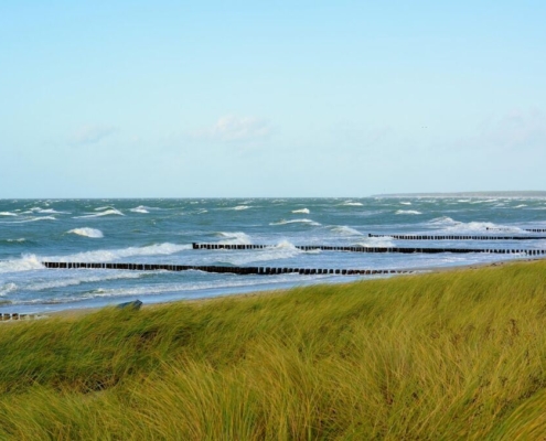 nature-grass-heaven-waters-coast-baltic-sea-stockpack-pixabay.jpg nature, grass, heaven, waters, coast, baltic sea