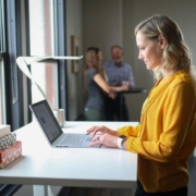 standing desk, woman, office, workspace, working, caucasian, standing desk, standing desk, standing desk, standing desk, standing desk