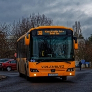 transport, bus, travel, shuttle bus, vehicle, street, bus, shuttle bus, shuttle bus, shuttle bus, shuttle bus, shuttle bus