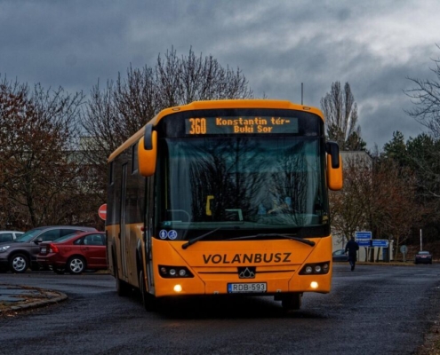 transport, bus, travel, shuttle bus, vehicle, street, bus, shuttle bus, shuttle bus, shuttle bus, shuttle bus, shuttle bus