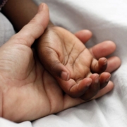 hands-adoption-adopt-symbol-love-heart-together-affection-family-stockpack-pixabay.jpg hands, adoption, adopt, symbol, love, heart, together, affection, family, adoption, adoption, adoption, adoption, adoption