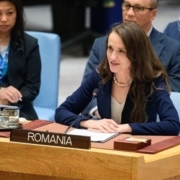 Oana Toiu ONU
