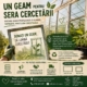 SCDL Buzău_geamuri