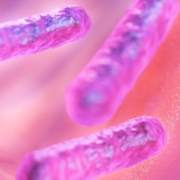 bacilli-bacteria-microbe-health-biology-science-stockpack-pixabay.jpg bacilli, bacteria, microbe, health, biology, science, bacteria, bacteria, bacteria, bacteria, bacteria, microbe