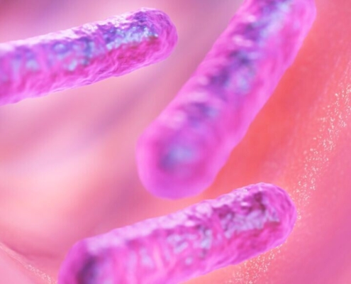 bacilli-bacteria-microbe-health-biology-science-stockpack-pixabay.jpg bacilli, bacteria, microbe, health, biology, science, bacteria, bacteria, bacteria, bacteria, bacteria, microbe