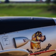 dog, pet, animal, plane, airport