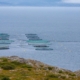 fish-farming-norway-sea-fishing-industry-aquaculture-ocean-stockpack-pixabay.jpg fish farming, nature, norway, sea, fishing industry, aquaculture, ocean