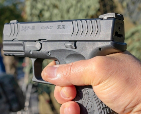 gun-pistol-revolver-hand-people-threat-stockpack-pixabay.jpg gun, pistol, revolver, hand, people, threat