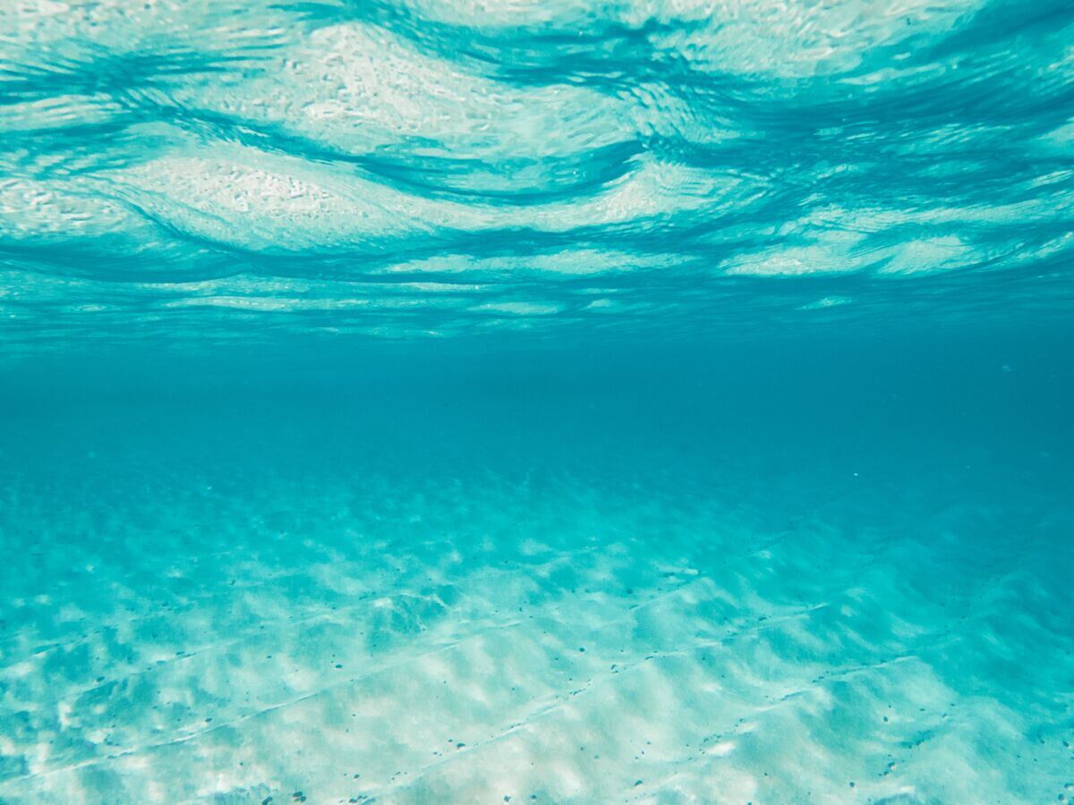 clear-blue-ocean-underwater-stockpack-pexels.jpg Clear blue ocean underwater
