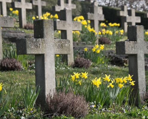 graveyard-cross-funeral-birnau-lake-constance-uberlingen-meersburg-clocks-past-holy-blissful-dig-tomb-flower-quiet-resting-place-graves-forest-tombstones-forest-cemetery-peaceful-last-rest-sandstone-stockpack-pixabay.jpg graveyard, cross, funeral, birnau, flower wallpaper, lake constance, überlingen, nature, beautiful flowers, meersburg, clocks, past, holy, blissful, dig, tomb, flower background, flower, quiet, resting place, graves, forest, tombstones, forest cemetery, peaceful, last rest, sandstone