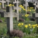 graveyard-cross-funeral-birnau-lake-constance-uberlingen-meersburg-clocks-past-holy-blissful-dig-tomb-flower-quiet-resting-place-graves-forest-tombstones-forest-cemetery-peaceful-last-rest-sandstone-stockpack-pixabay.jpg graveyard, cross, funeral, birnau, flower wallpaper, lake constance, überlingen, nature, beautiful flowers, meersburg, clocks, past, holy, blissful, dig, tomb, flower background, flower, quiet, resting place, graves, forest, tombstones, forest cemetery, peaceful, last rest, sandstone