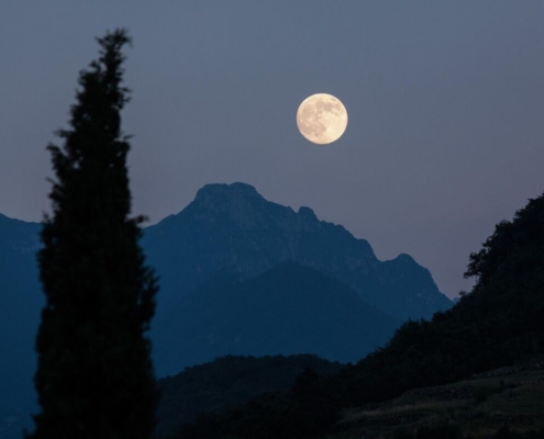 moon, cypress, mountains, moonrise, nature, full moon, romantic, night, eve, dusk, almost night